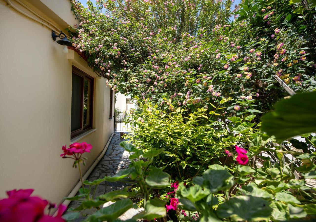 Elisavet'S House Vila Platanés Exterior foto